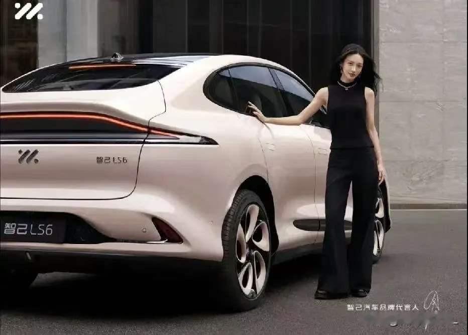 中国六大国有车企：1，一汽——央企，品牌：红旗、天工；2，东风——央企，品牌