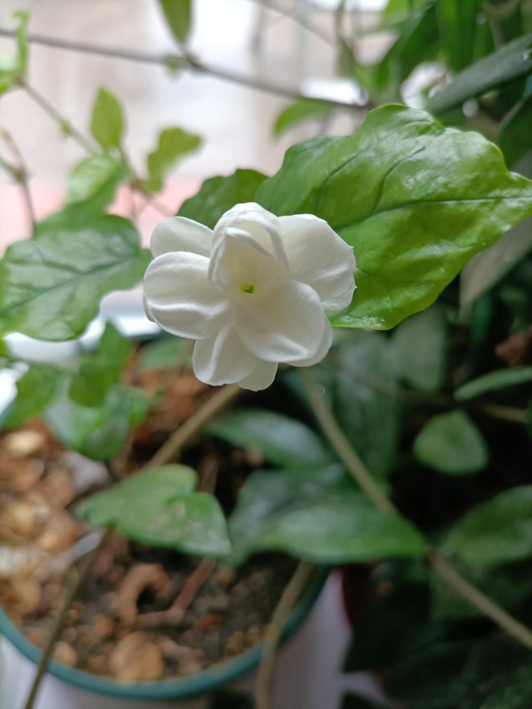 韩世忠的另外一面南宋的中兴四将之一韩世忠，他年轻时家庭贫寒，在兄弟中排行第