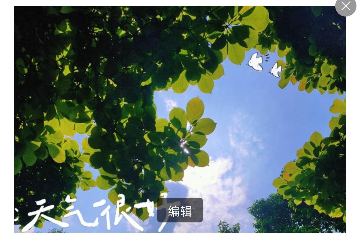 8月24日正式出伏，2026年40天三伏天落幕，可“秋老虎”依旧盘踞，暑热迟迟不