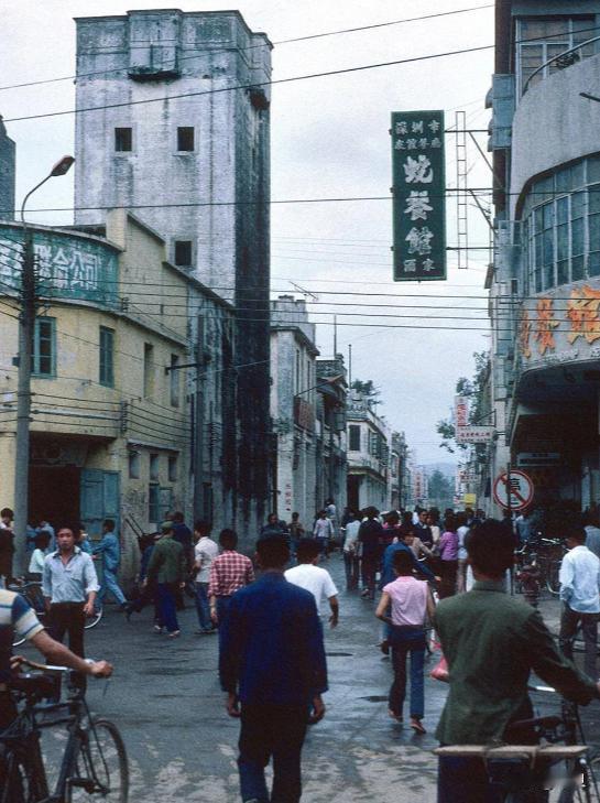 国家同样给了政策，为什么只有深圳长成了参天大树？海南特区搞了几十年，GDP刚过8