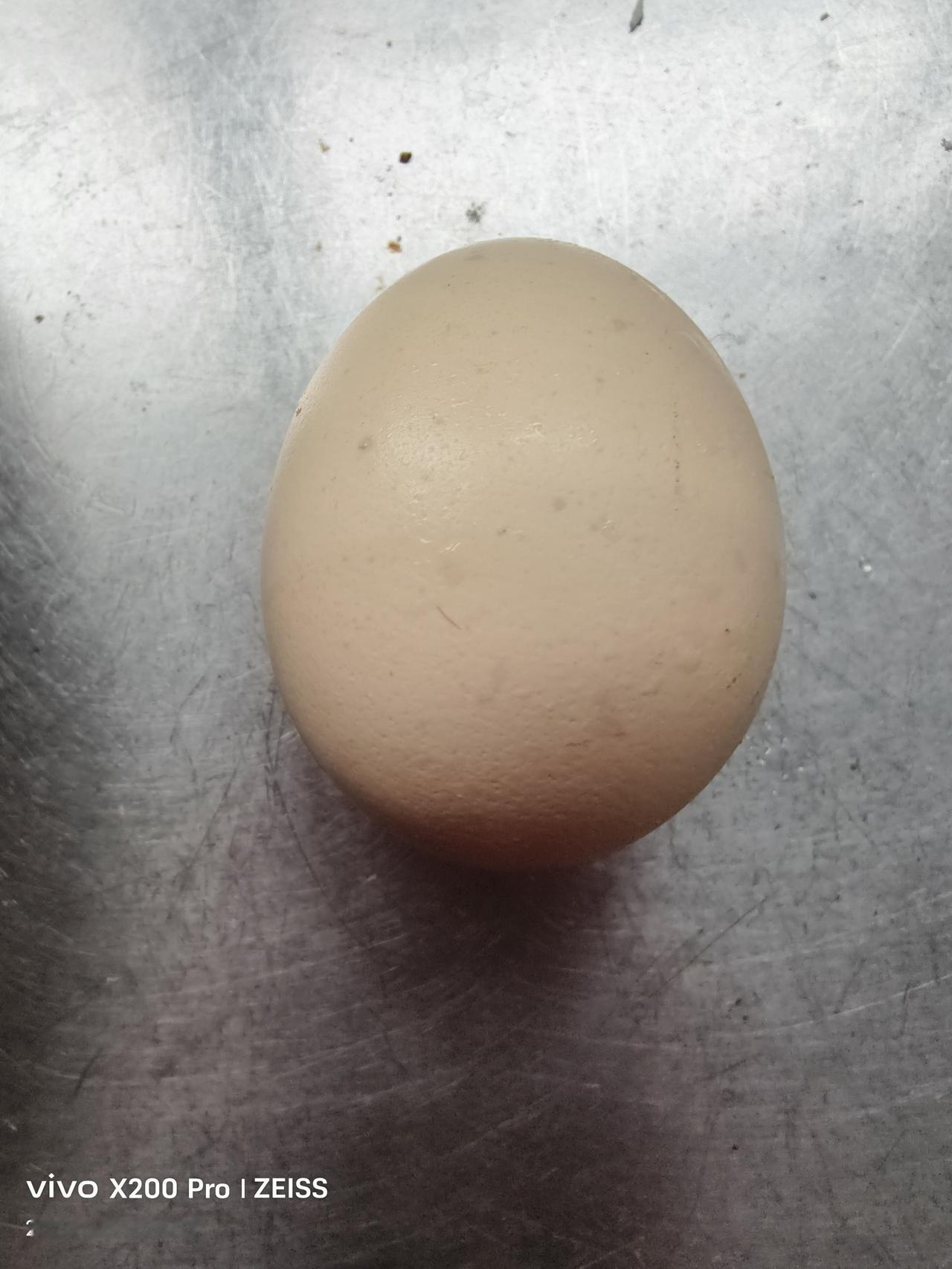 我的早餐，今天是一个鸡蛋，一个西红柿，几棵小白菜，下了一大碗面条。中餐是做了一条