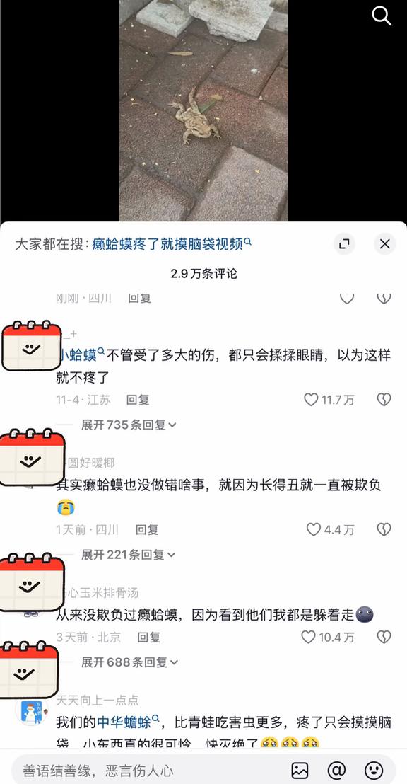 看到癞蛤蟆被欺负的视频暴哭有些哭点就是那么神奇不小心刷到癞蛤蟆被欺负的视频