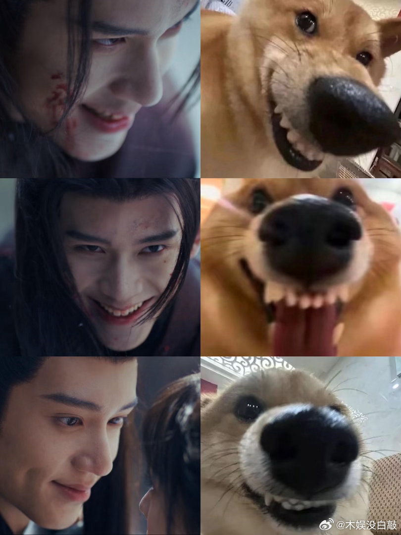 逐玉表情包大赏🤣笑到锤床逐玉张凌赫杂志