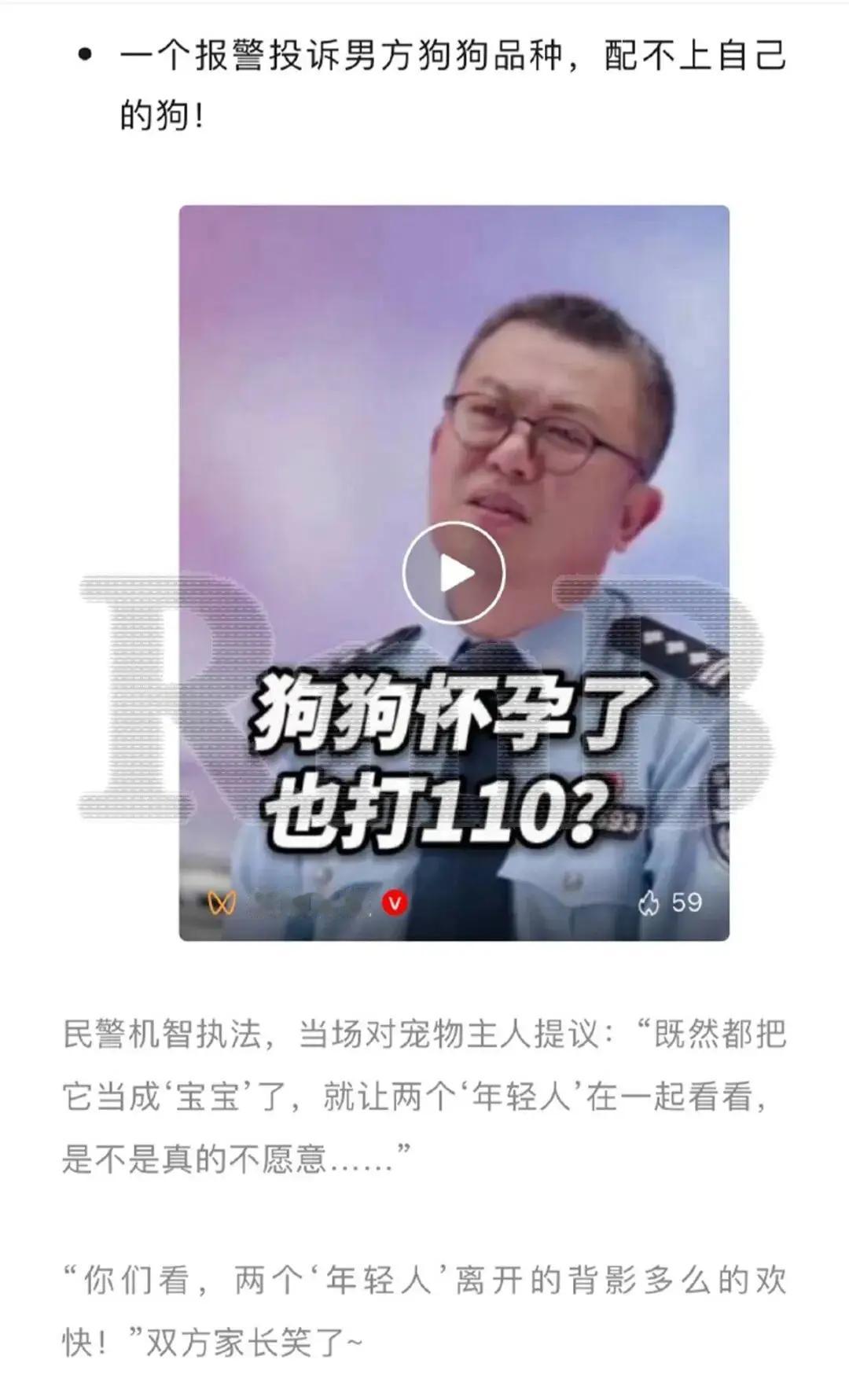 母狗怀孕，狗主人向公狗主人索要营养费未果，报警了！怪事天天有，今天特别