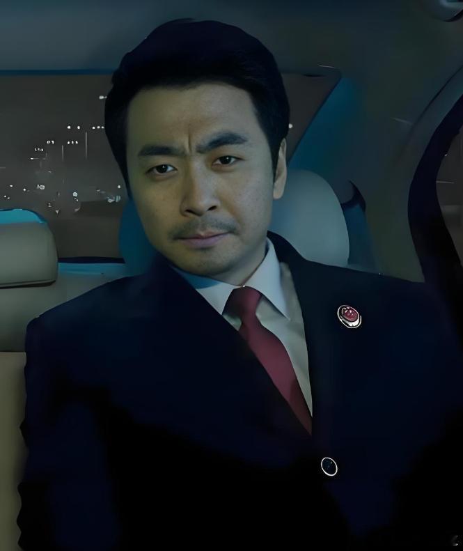 司法领域官员日元为戊土，天干戊生庚，庚生财星水。主要是看地支，日支在申，申入丑墓
