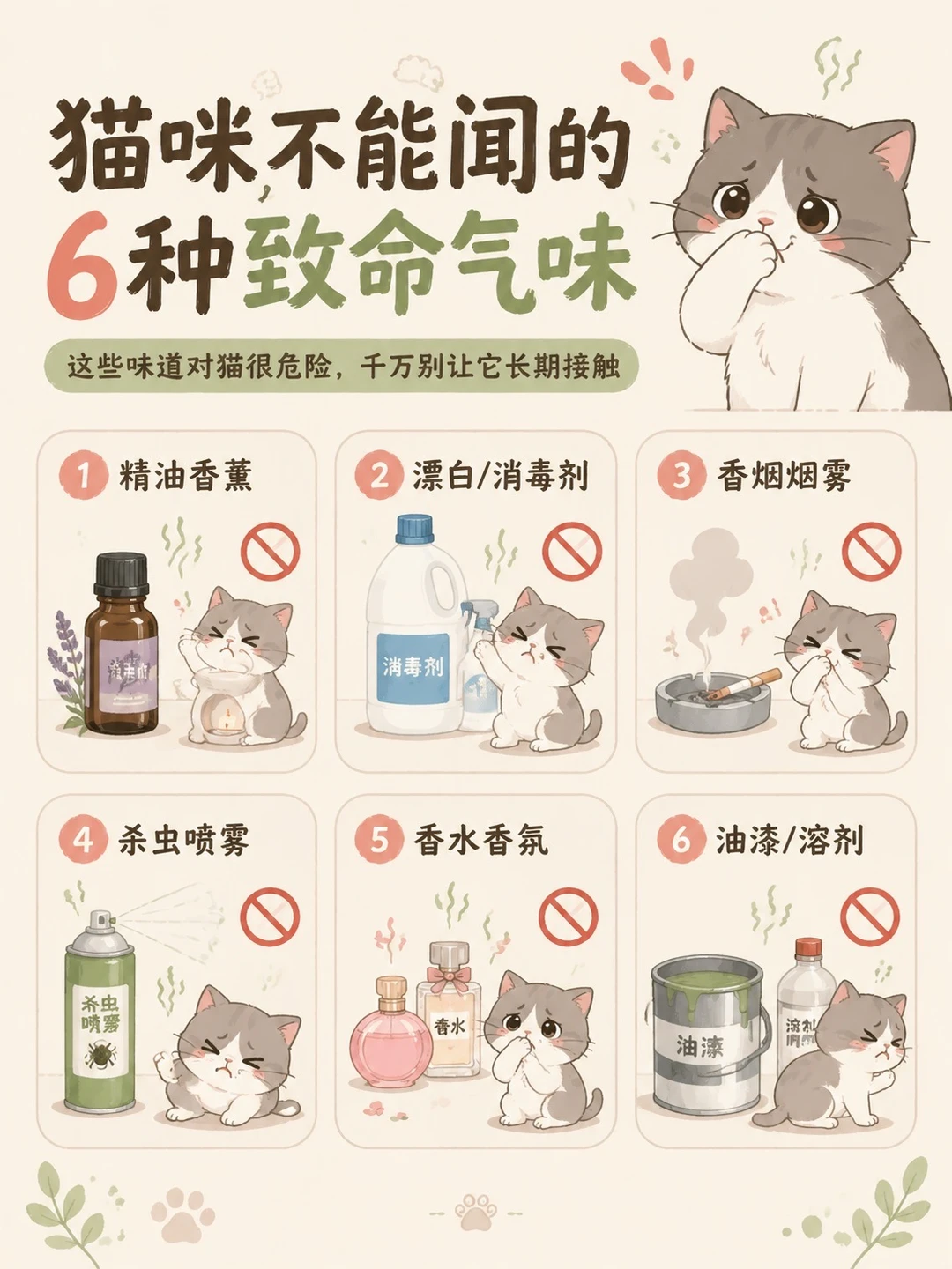 猫咪不能闻的6种味道、你家猫咪有没有闻过