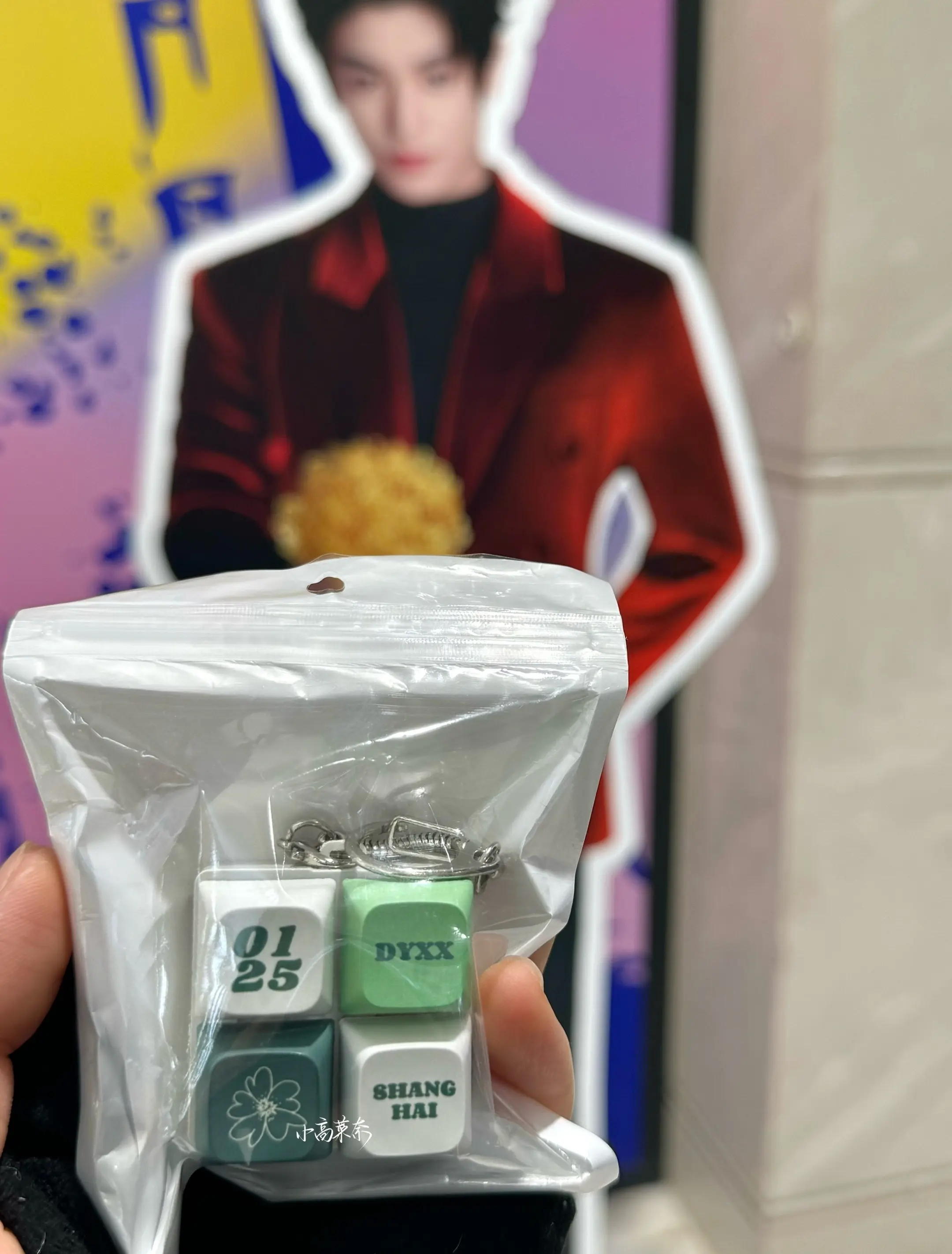 谁帮我看看这两个是什么东西