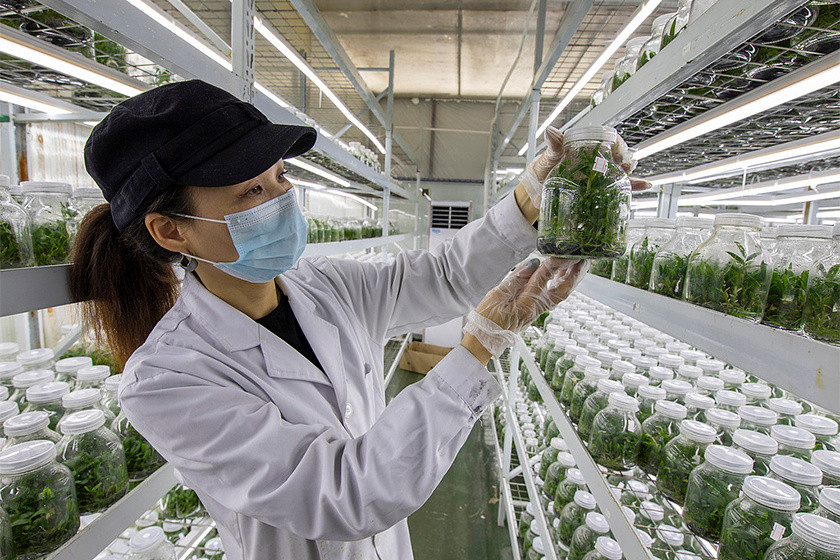 中国研发总支出首次超越美国，跃居全球首位。数据显示，2024年中国投入达97.1