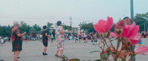 “干得漂亮！”黑龙江某小区，几位大妈清晨5点就在楼下跳广场舞，严重打扰了邻居休息