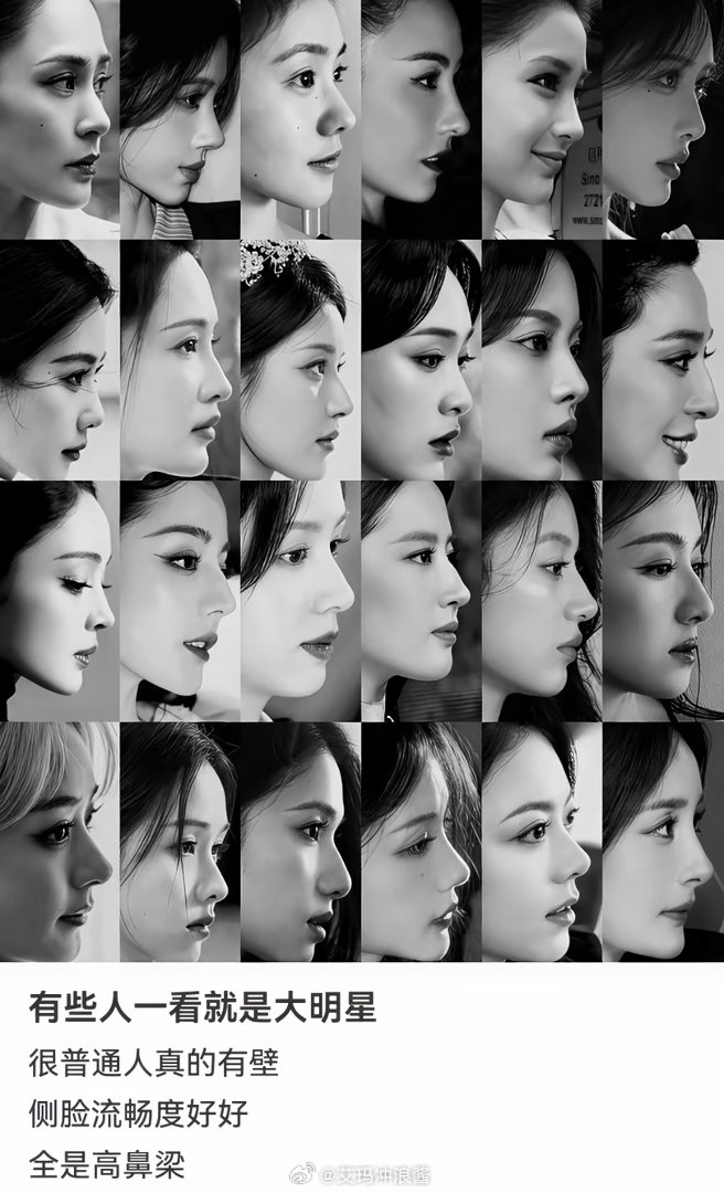 这些女明星的侧脸，你最喜欢哪一款？