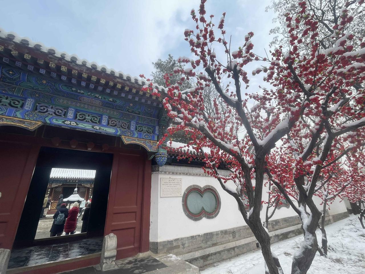 “北京大观园”雪景随拍北京雪景拍照