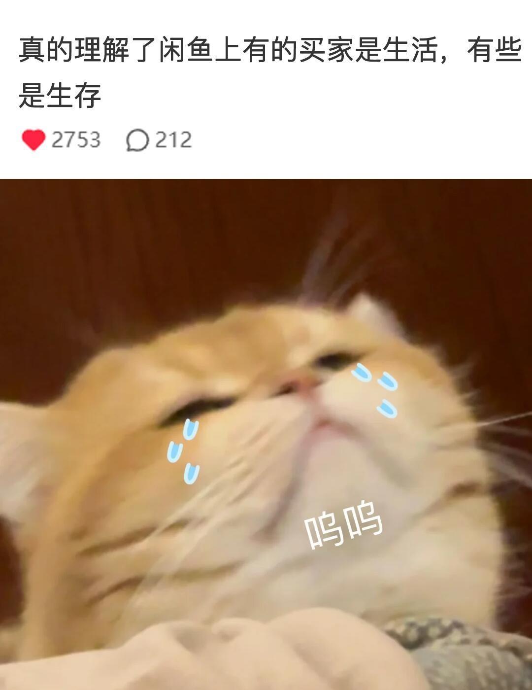 好像突然感知了闲鱼的意义…​​​