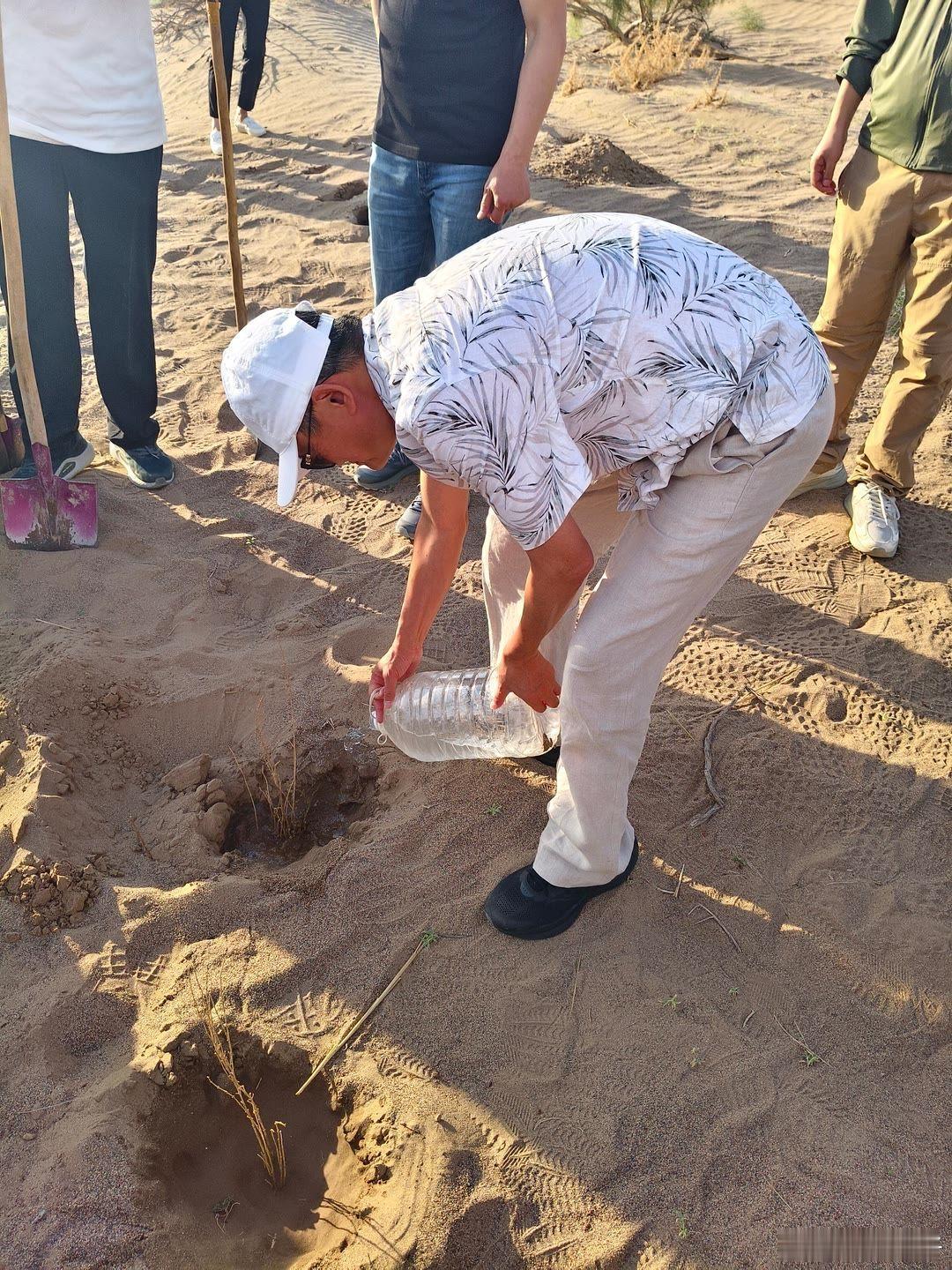 马云最近去到了甘肃民勤，查看蚂蚁森林梭梭树的长势，还种下了小树苗，品尝民勤西瓜！
