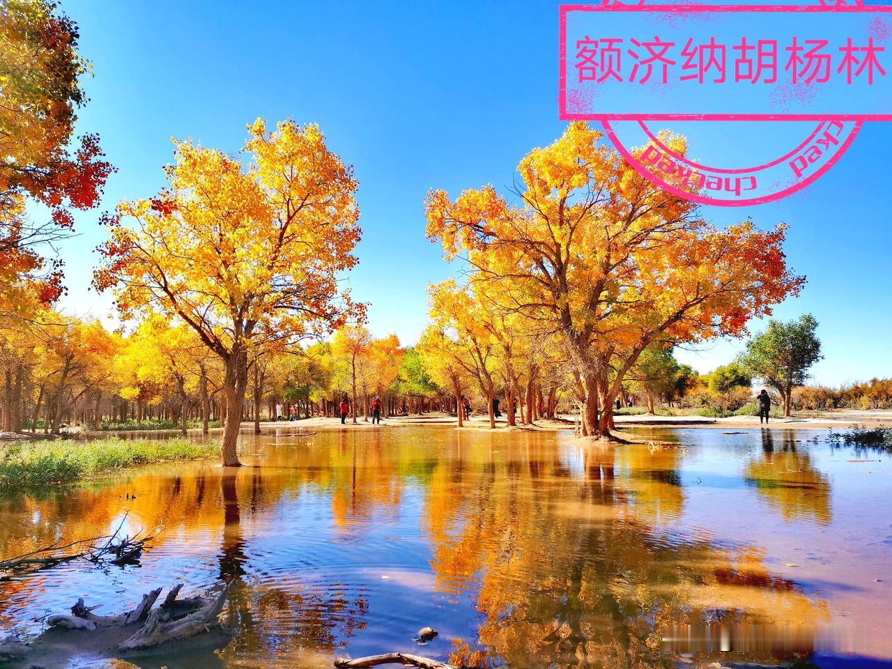 有没有好看的风景图片分享最美的风景图片