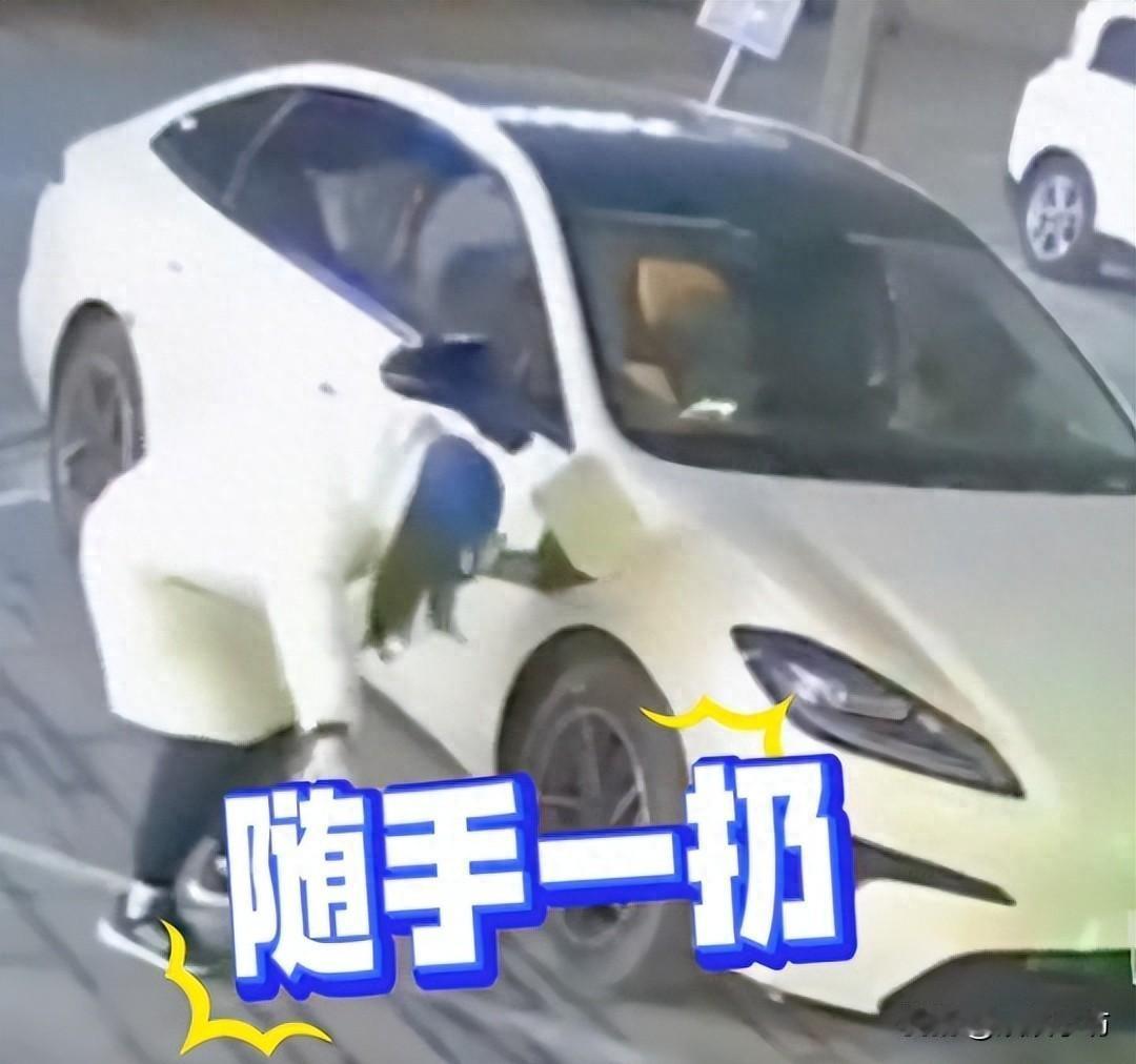充电枪被扔后监控拍到更糟的事，她的车牌藏着更多劣迹，三千维修费谁来付？一女子