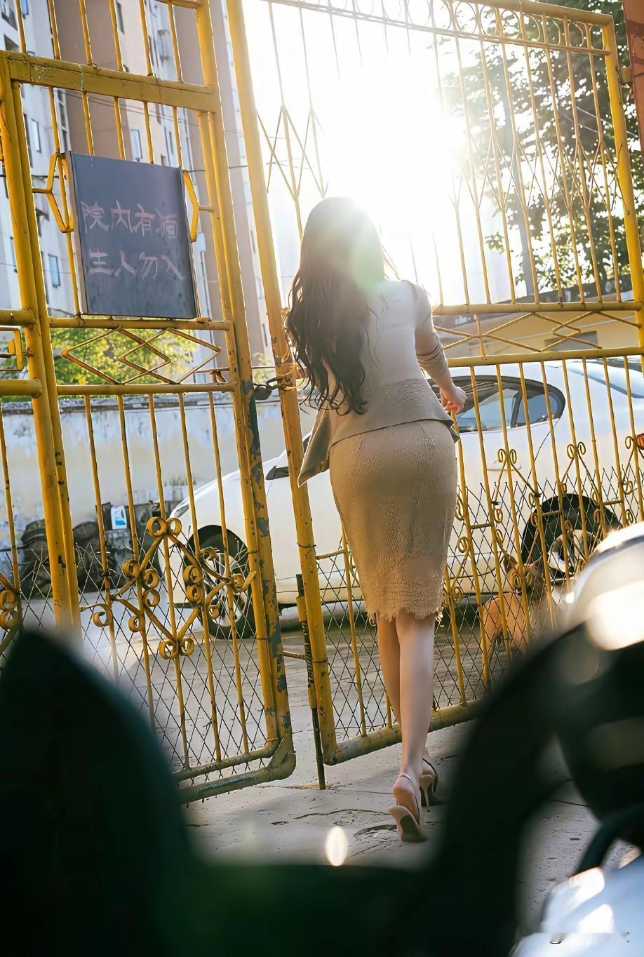 知性美