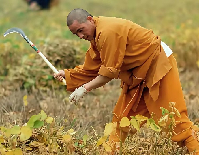 印乐法师想要靠一己之力改变少林寺并非易事。改变一群人的意识是十分困难的。释永信盘