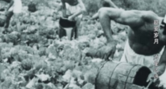 1943年，毛主席到南泥湾视察，王震激动不已特意用烧鸡款待。毛主席吃的非常高兴，