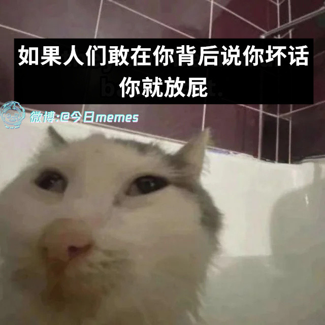 臭鼬系（9gag）今日meme今日memes