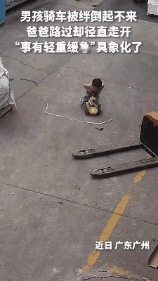家里卧龙凤雏集齐了呀！