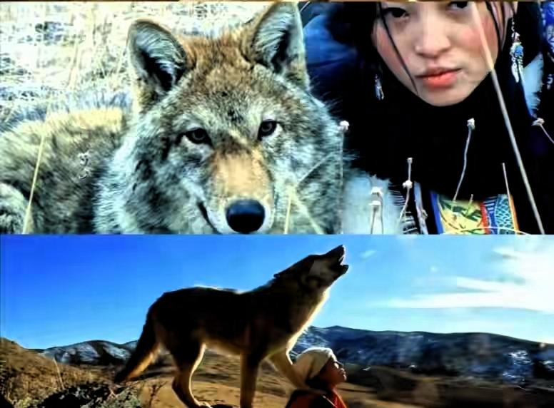 李微漪昨日更新，透露格林已离世，回复网友自己仍保留着红腰带《重返狼群》再度