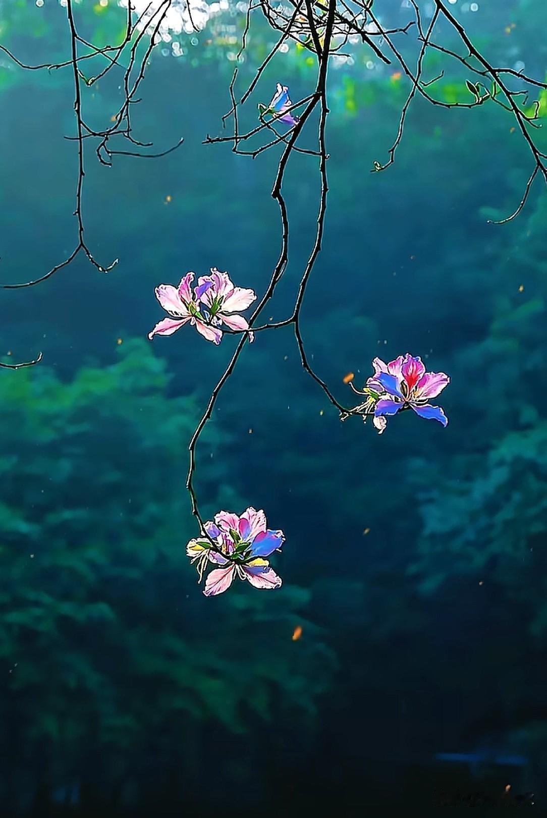  真正认知通透的人，不靠文凭，而是脑子里这套思维很多人误以为，