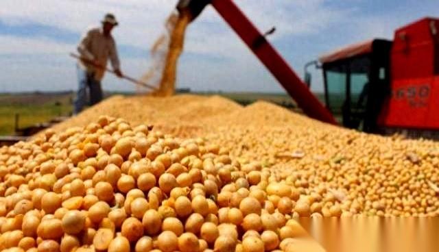 美国豆农快哭了。真的，眼睁睁看着堆成山的豆子，连续好几个月，对华出口量是：0。