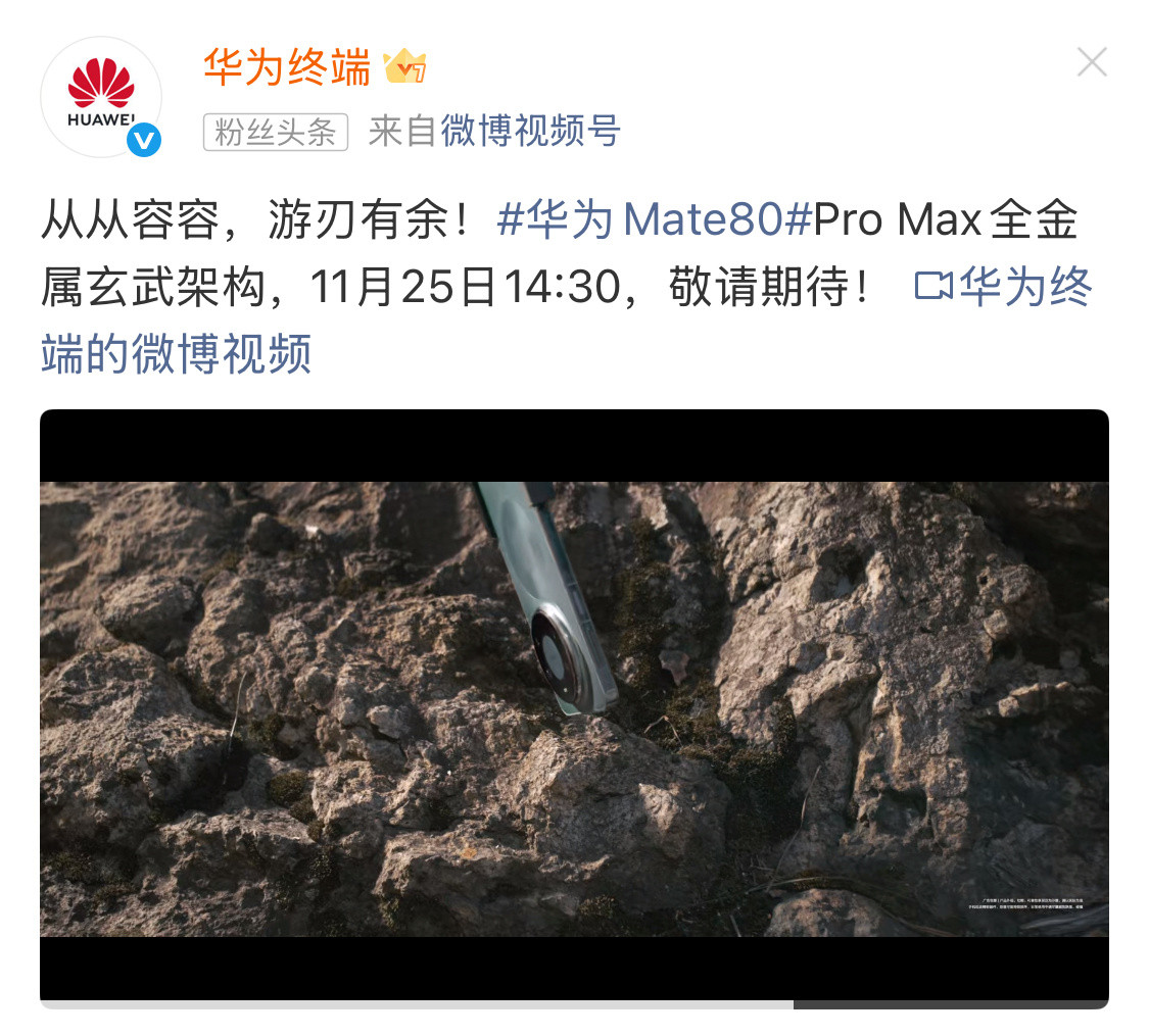 这一代mate这么硬啊？网友：上市后十大酷刑少不了。