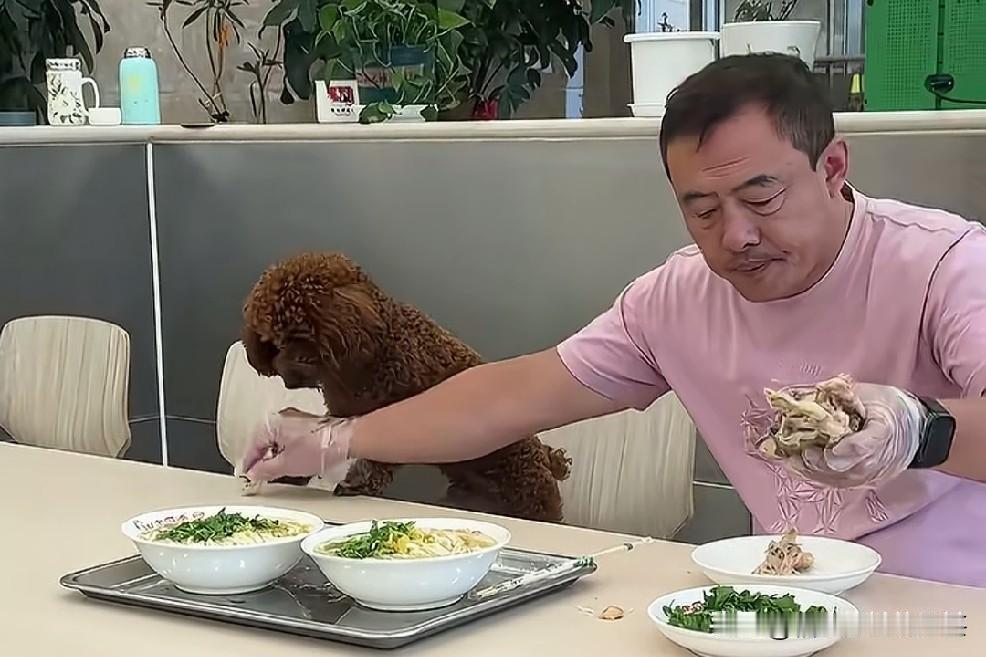 进步再快，现在把宠物狗带进饭店里，和人主人一起吃饭，多少有点过了，正常的情况下，
