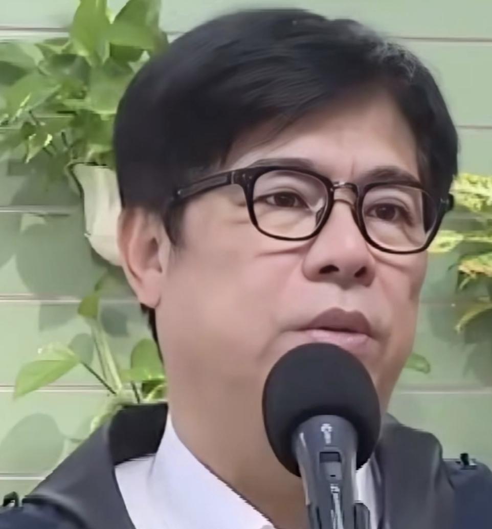 陈其迈痛骂“包庇油品的罪无可赦”——可包庇者，不正是你们民进党自己吗？陈其迈
