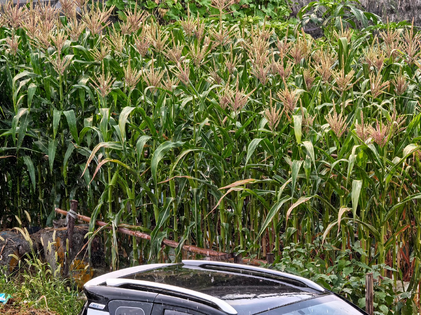 遭不住了，杭州萧山是不是人工降雨了？现在降雨和下开水一样[捂脸哭][捂脸哭]突然一下