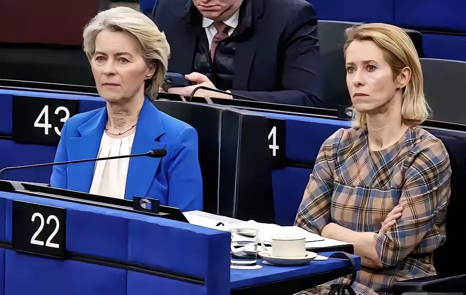 当以色列战机轰炸伊朗目标，甚至造成平民伤亡时，冯德莱恩和卡拉斯的调门变了。你