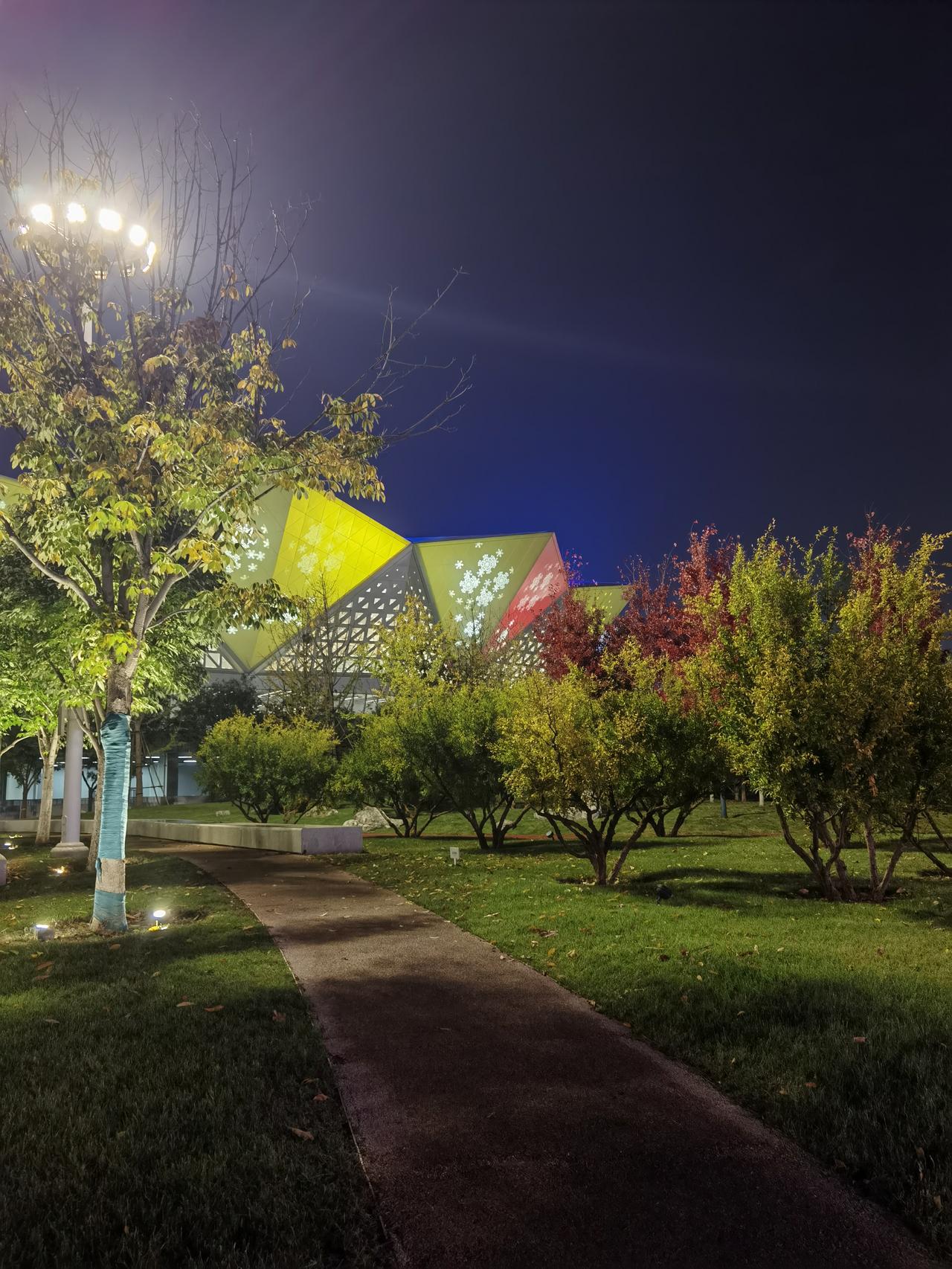 分享你随手拍的风景西安奥体中心夜景