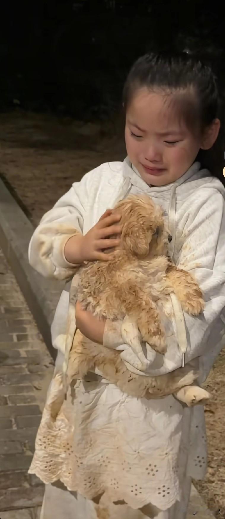 善良的小女孩在路边瞧见一只可怜兮兮的小奶狗，忍不住将它抱了起来，泪水夺眶而出，哭