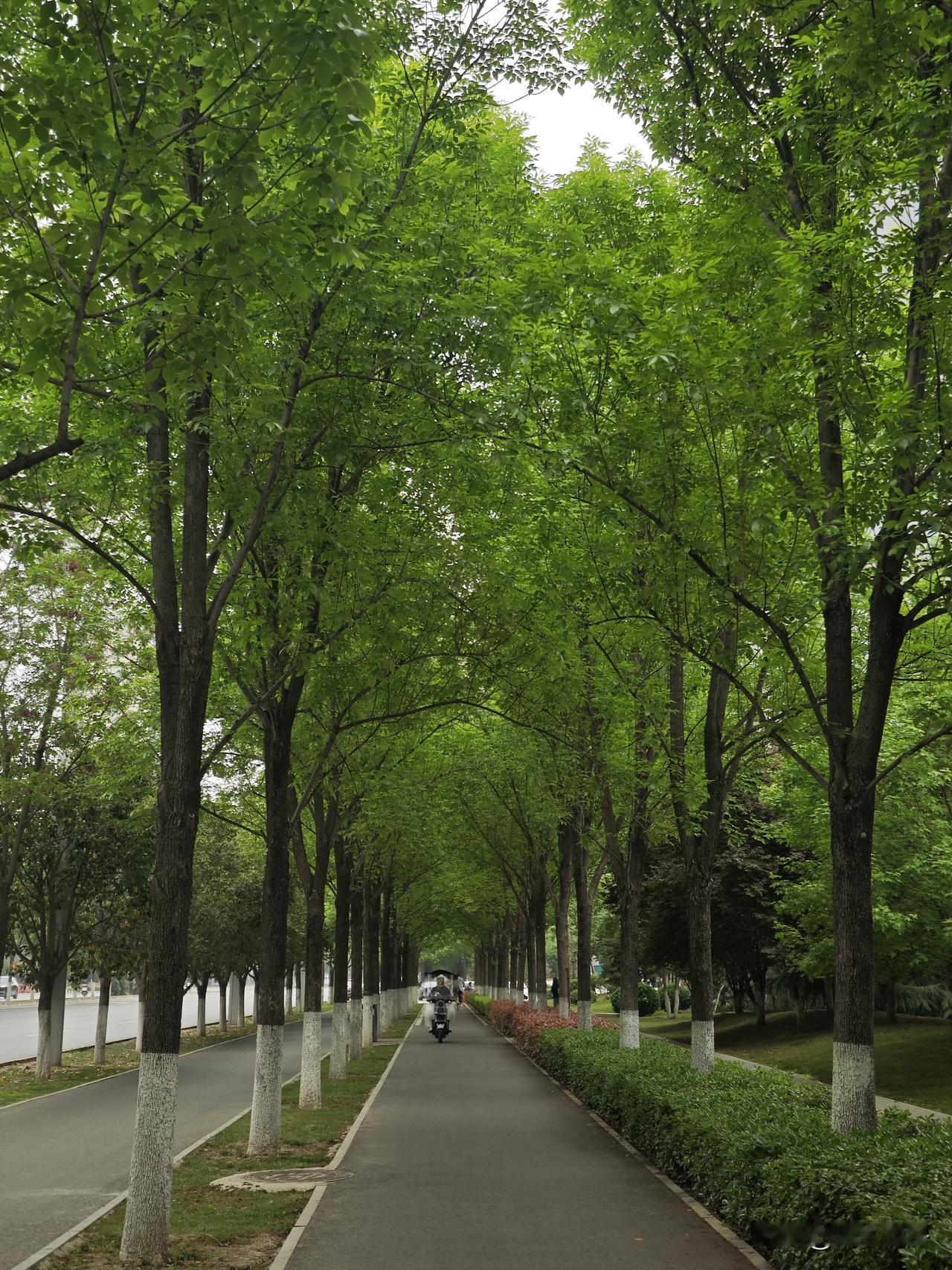 结果刚出！西安仁村F7地块（GX3-18-4）刚刚在4月20日1