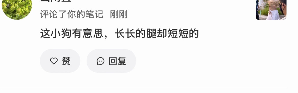 我他喵笑发财了就这样评价doe