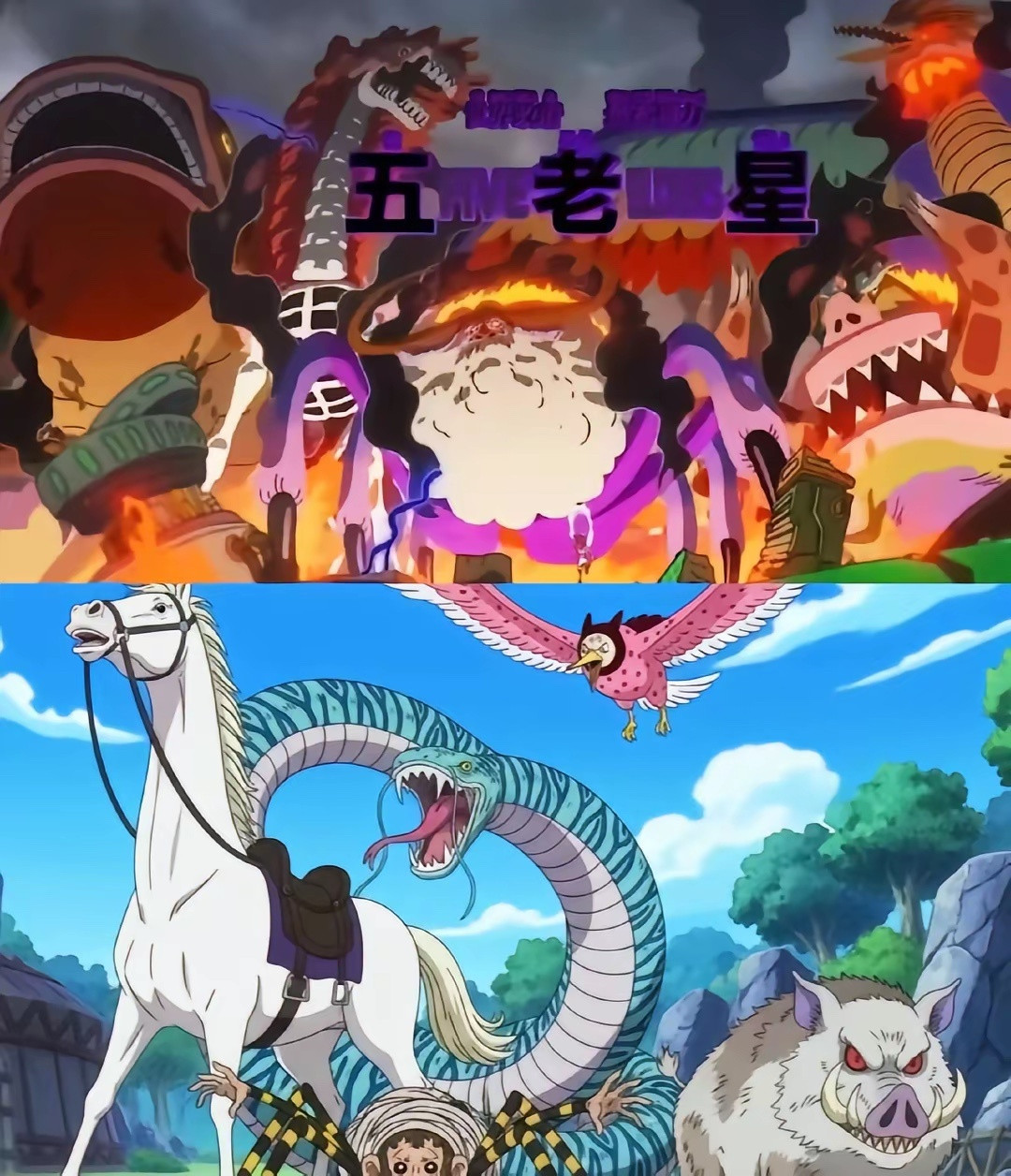 海贼王对应上……