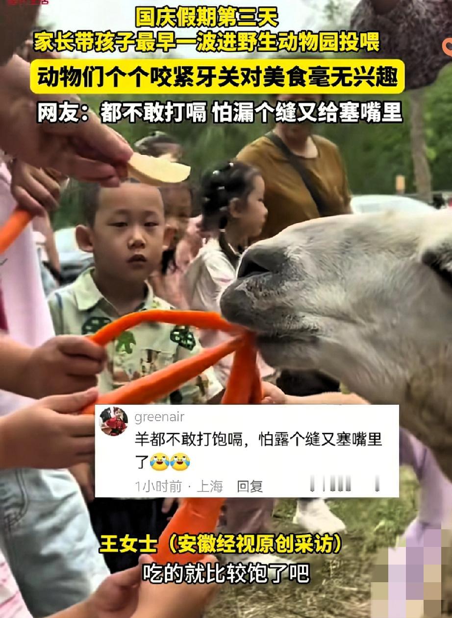 笑不活但又有点扎心！江苏南通动物园这幕太真实了——国庆大清早，宝妈带着娃举