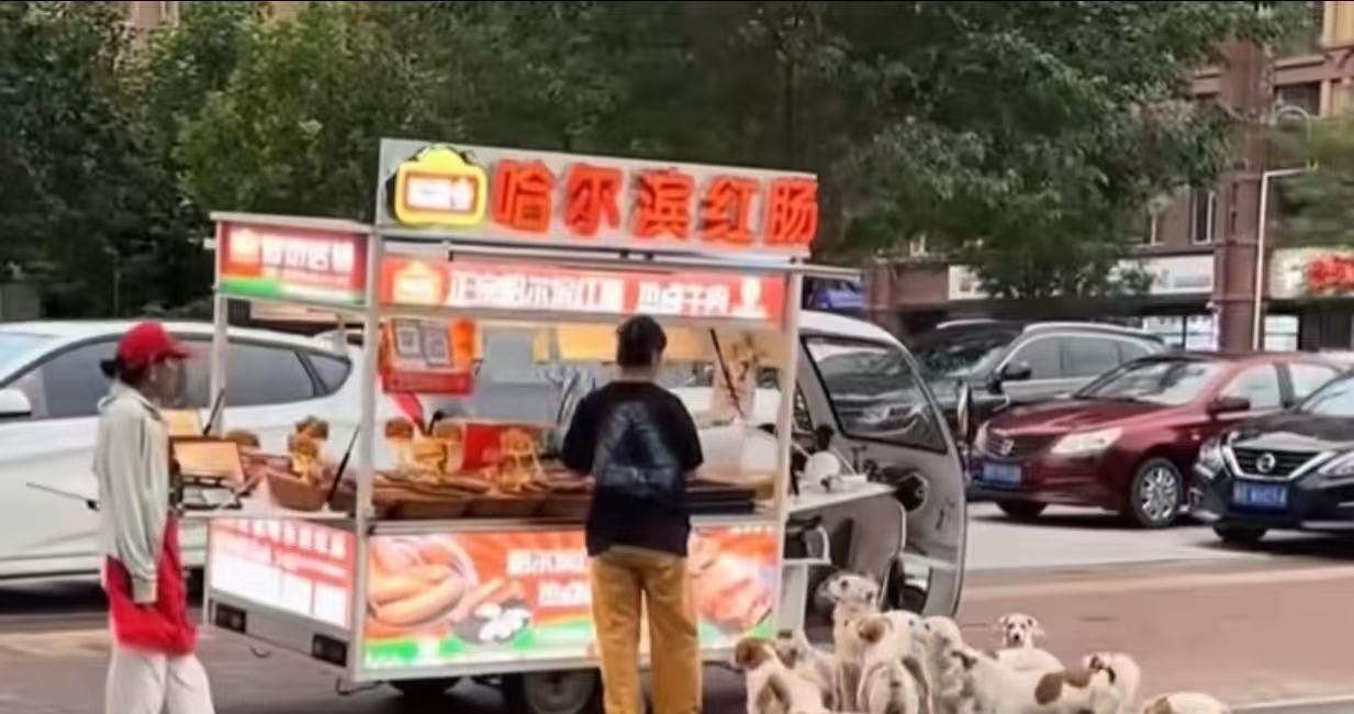 这真的是“有舍就有得”！一个美女摆摊卖哈尔滨红肠，随手喂了流浪狗一口，结果一狗传