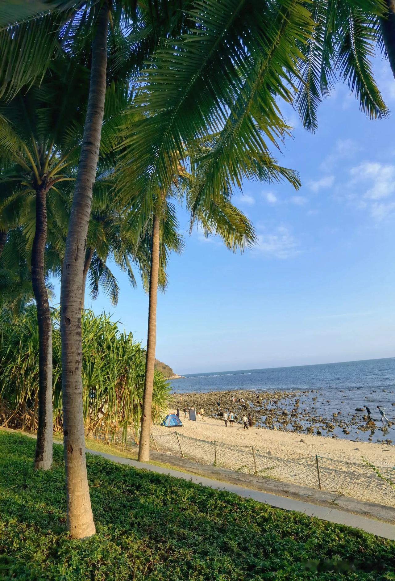 海南…自驾游第15天，躺着吹海风已在三亚住了5晚，慢生活真好，每天不会心急火燎