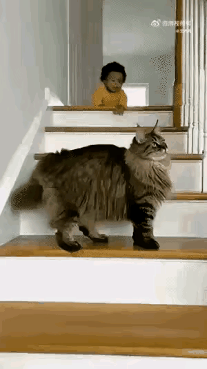 家有萌娃和猫咪的快看！一小会儿没盯着，小主人在楼梯上脚一滑就滚下来了。说时迟那时