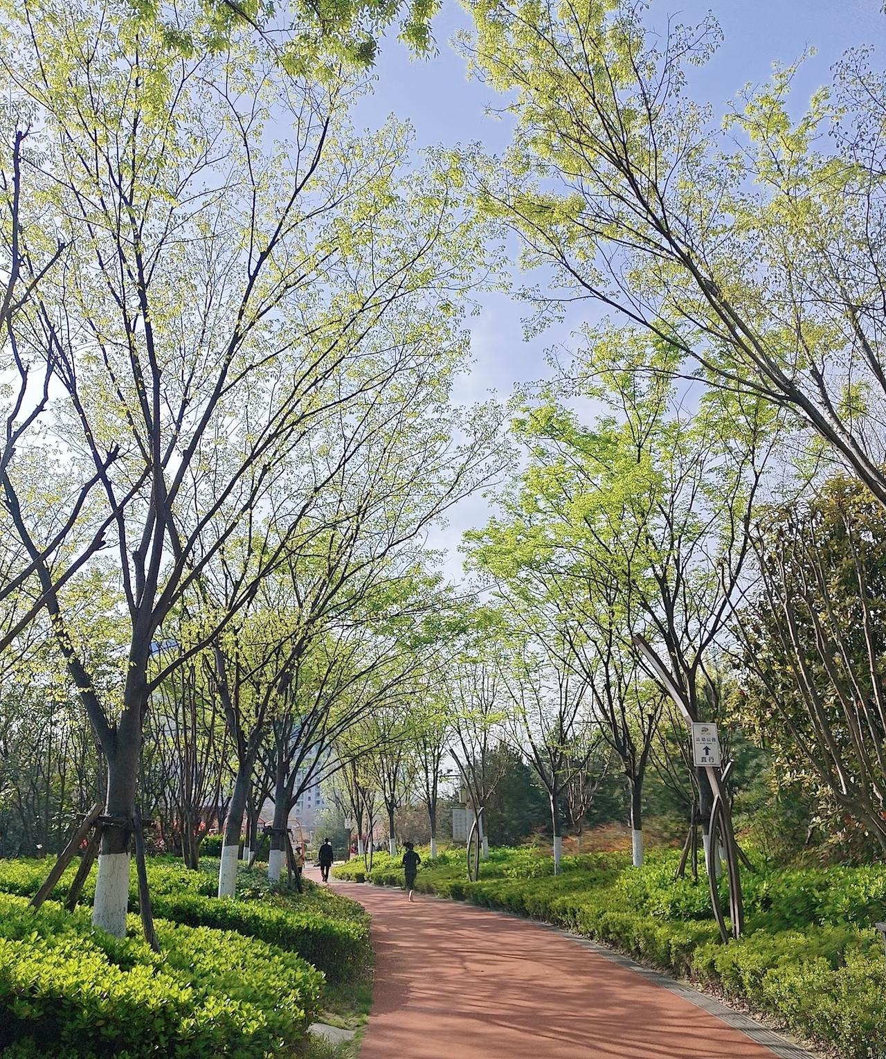 跑步十几年走过的弯路不少，受伤的经历让我重新认识了跑步的意义和价值。写出来希望跑