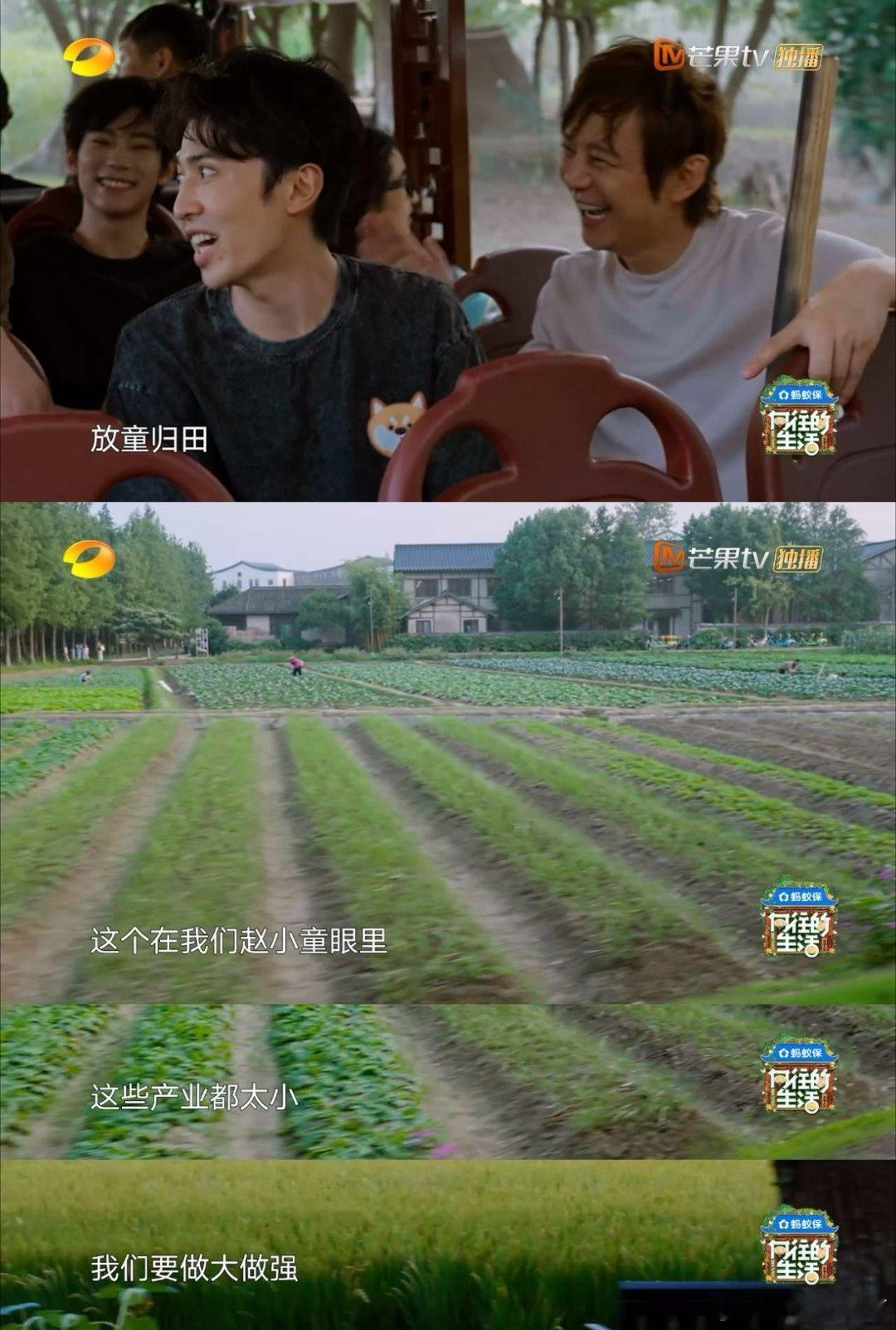 赵小童出了后陡门发现还要干活哈哈哈哈赵小童在《向往》简直本色出演！别人下车看风