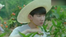 【凯源】王俊凯王源双视角【腐向标】第二期