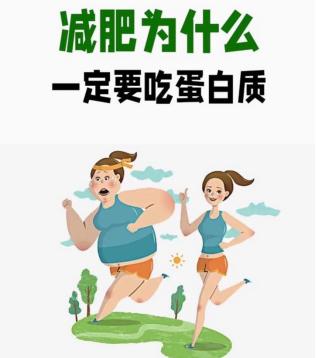 蛋白质有那么重要吗？为什么所有减肥的博主都在提倡，一定要补充足够的蛋白质。减肥这