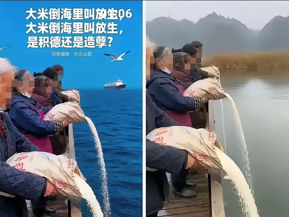 岂有此理！把糟蹋粮食说成是放生！这是对礼佛的亵渎！针对有人将几十袋大米倒进海里，