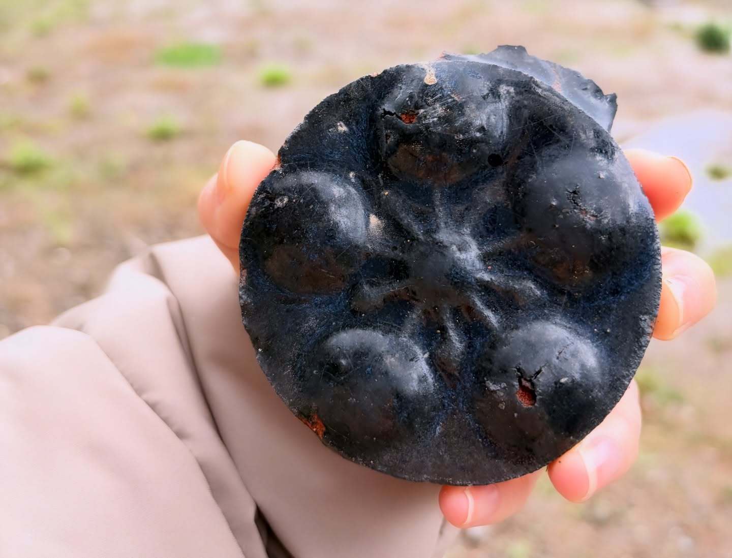 菅井友香①　yuukastagram