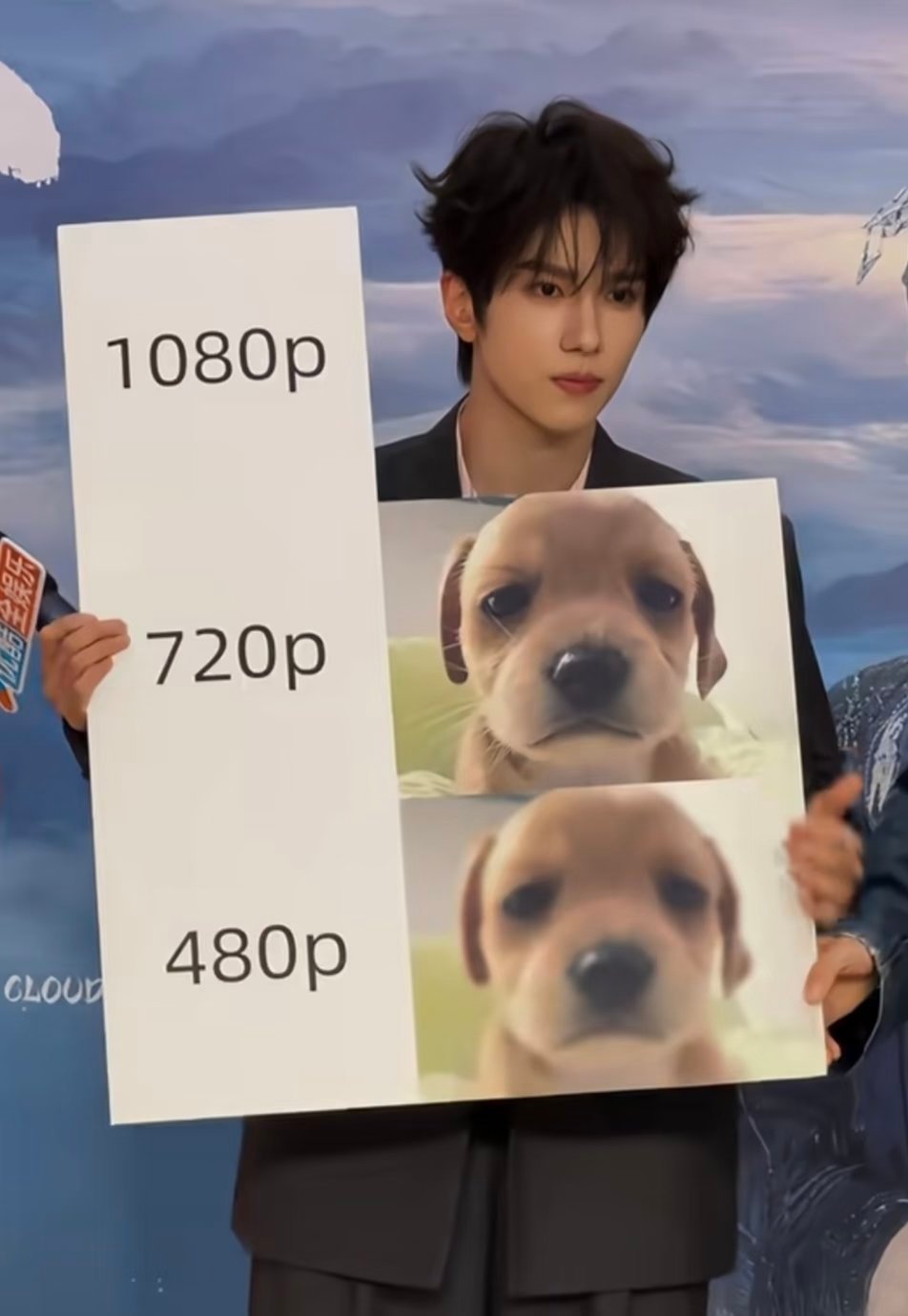 网友票选出最适合狗塑的男明星：TOP9曾舜晞TOP8于适TOP7张凌赫TOP6周柯宇TOP5余承恩T