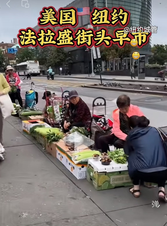 美国纽约法拉盛街头，清一色华人，城管呢？