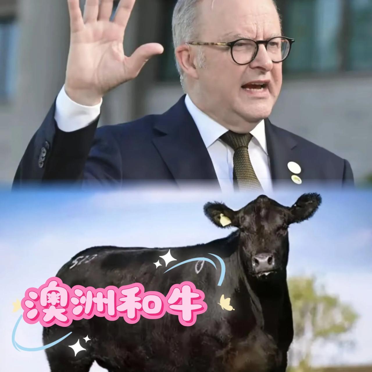 这回不能了吧澳大利亚这回算是切身体会了一把什么叫“现世报”